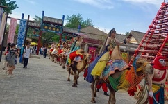 野花视频最新免费完整版在线观看